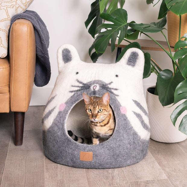 Cat Design | Ear Style Cave