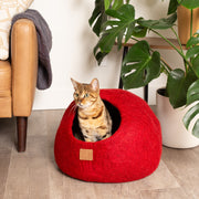Hochwertiges Katzenhöhlenbett aus gefilzter Wolle – gemütliche runde Peekaboo-Höhle für große oder kleine Katzen – Zitrusgrün