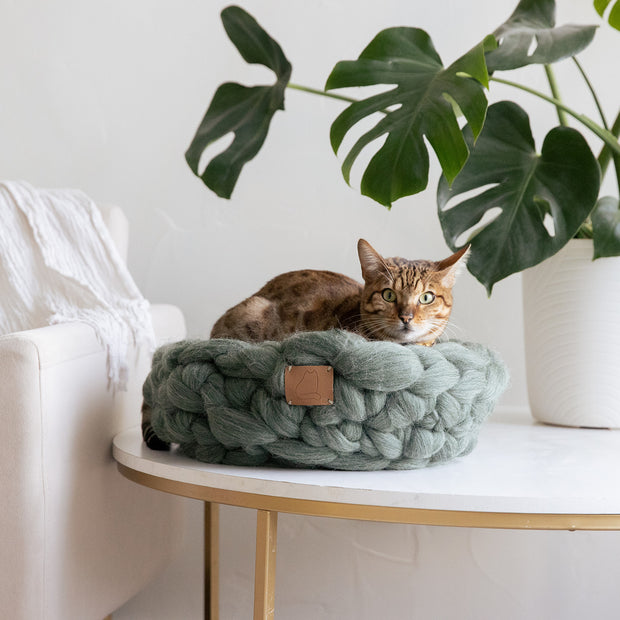 Panier de lit pour chat en laine tricotée épaisse mérinos biologique naturelle, doux et sain, mignon 