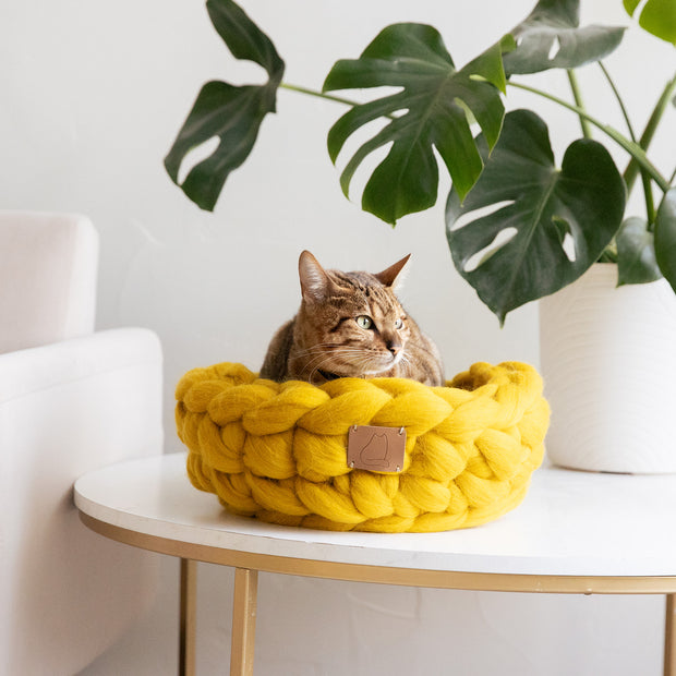 Panier de lit pour chat en laine tricotée épaisse mérinos biologique naturelle, doux et sain, mignon 