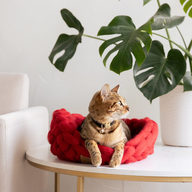 Panier de lit pour chat en laine tricotée épaisse mérinos biologique naturelle, doux et sain, mignon 